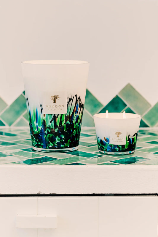 Baobab Candle Rainforest Amazonia