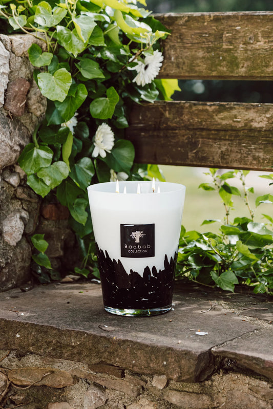 Baobab Candle Feathers