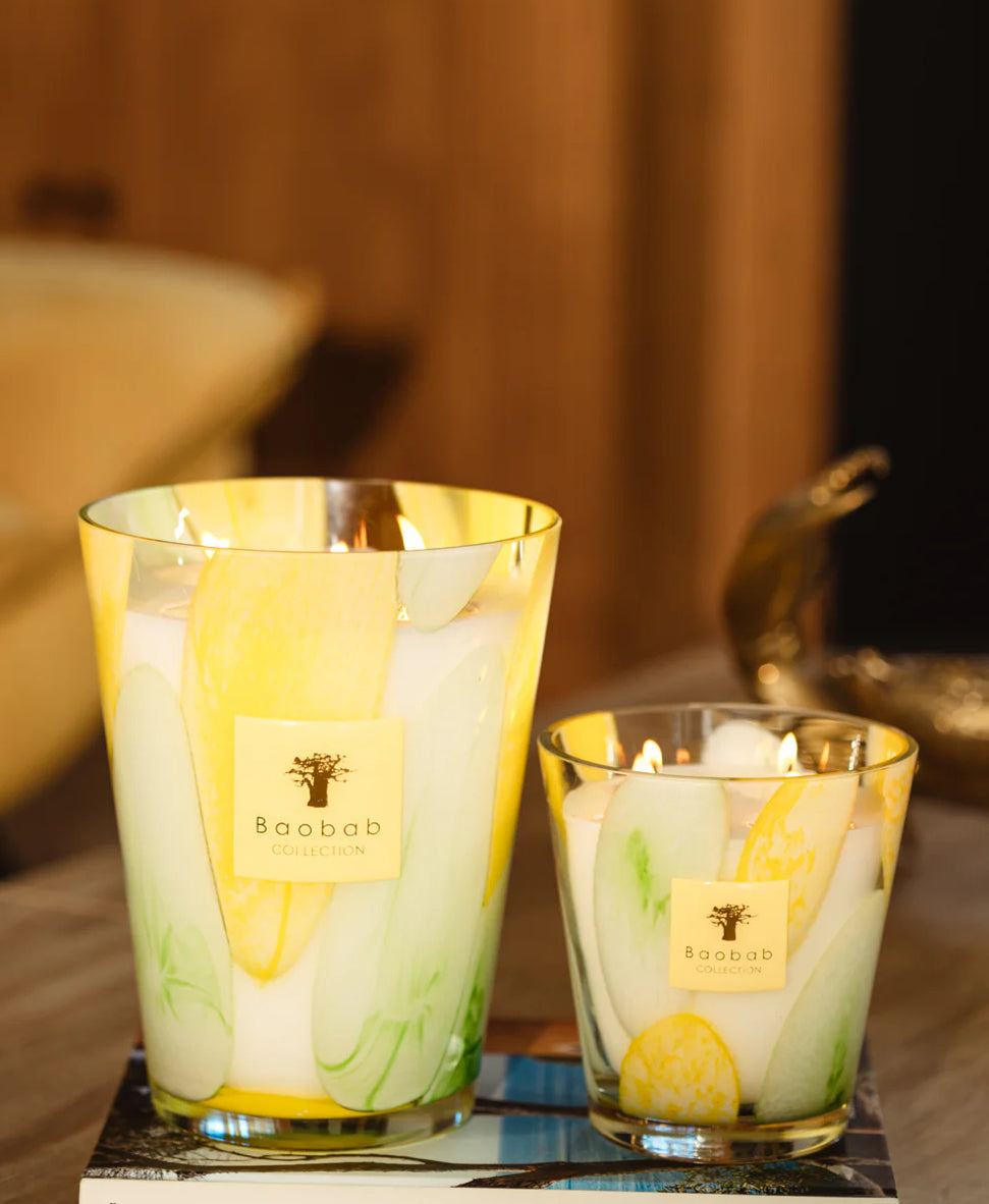 Baobab Candle Riviera Santo Sospir